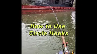 How to Use Circle Hooks