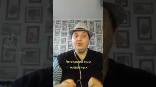#анекдот