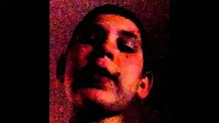 shlomi down