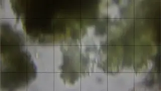 Microscopic life in single drop of pond water (livestream from 18/12)