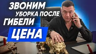 КЛИНИНГ ПОСЛЕ ГИБЕЛИ ЧЕЛОВЕКА. Цена клининговых услуг в Санкт-Петербурге. Обзвон конкурентов.