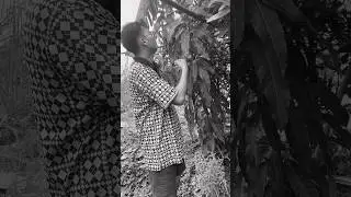 ความรักคำมี #คลายเครียด #funny #funnyvideo #fypシ゚viral #ตลกฮาฮา
