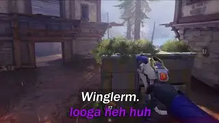 Overwatch brainrot but it's subtitled as if we're saying real words