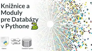 Online kurz Python Databázy - Čo je Databáza a Aké sú Knižnice a Moduly pre Databázy v Pythone? 🐍