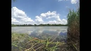 Место для рыбалки