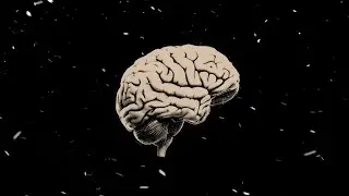 It is All Happening in Your Mind