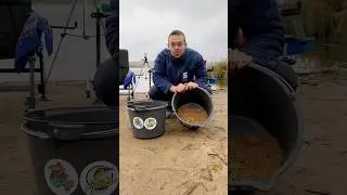 Офигенный корм залог успеха 