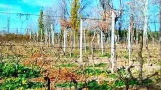 Mendoza, Argentina