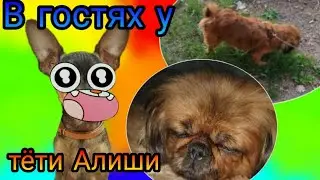 В гостях у тёти Алиши! ШОК! МЕНЯ ЧУТЬ НЕ СЪЕЛИ