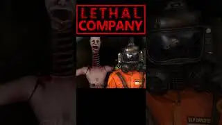 The Lethal Company Experience: