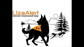 Следовое направление подготовки собак отряда Лиза Алерт