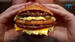 interesting facts . hamburger . интересные факты