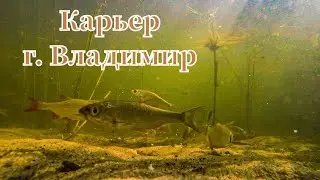 Владимирский карьер - рыбка есть. Глубина 30 см.