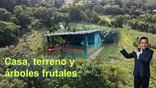 🔹NO DISPONIBLE🔸En venta 🏝️ casa con terreno y arboles frutales  🌴