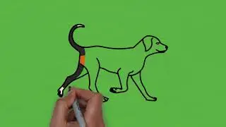 БУГУНКУ САБАГЫБЫЗДА КУЧУК ТАРТУУНУ УЙРОНОБУЗ