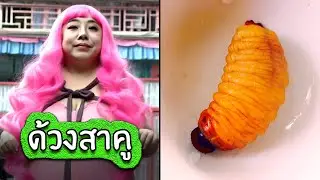 เพลง ด้วงสาคูย่างไฟ | OKyouLIKEs