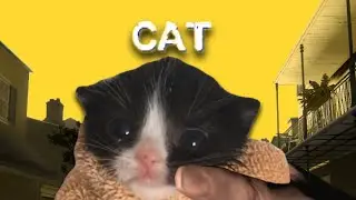 Left 4 Dead Cats