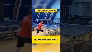 Топ-спин справа по короткому мячу #настольныйтеннис #tabletennis #tennis #тенниснастольный
