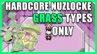 Can an Average Pokemon Player Hardcore Nuzlocke Sapphire with grass Types Only?