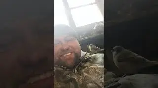 как выглядит любовь КАМАЗ