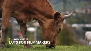2 in 1 Sony Slog3 LUTs | 