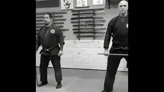 Hanbo Jutsu - Bujinkan Tenryu Dojo