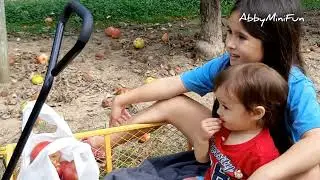 Last Day for Picking  🍎 Apples