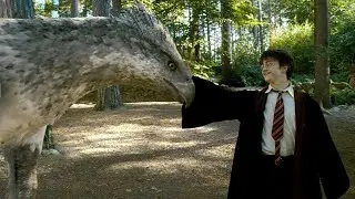 7 RÉFÉRENCES HISTORIQUES CACHÉES dans HARRY POTTER