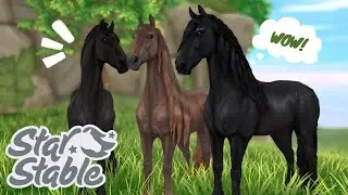 Buying the GEN 3 FRIESIANS | TRAILBLAZER, NEW TACK, AND MORE ~ Star Stable Online