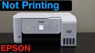 Epson Printer Not Printing ?