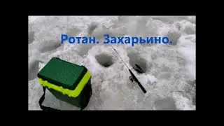 Ротан  Захарьино  Декабрь   23
