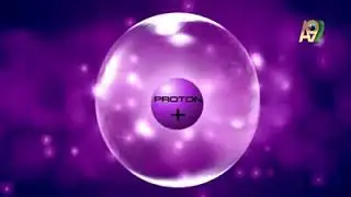 The wondrous equilibrium of the forces