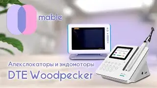 Эндодонтическое оборудование DTE Woodpecker