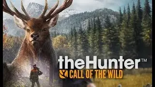 The Hunter Call Of The Wild, Beginners Guide, 5 Tips