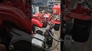 5 августа 2024 г.