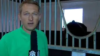 Paul Ferguson's Jumpers To Follow - Kalashnikov