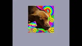 🐕🦴𝑃𝑙𝑎𝑦𝑙𝑖𝑠𝑡 𝐷𝑜 𝐶𝑎𝑟𝑎𝑚𝑒𝑙𝑜🐶🧡