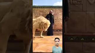 Hasan Mana Hai 🙄🤣🤣 funny shorts video #funny #cat #animals #pets #mithun #vlog