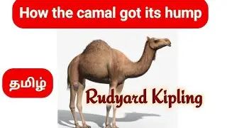 HOW THE CAMAL GOT HIS HUMP-RUDYARD KIPLING | 8th standard English summary stories | explain in Tamil