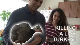 KILLING A LIVE TURKEY!