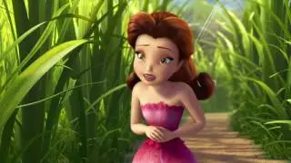 Феи   16   Квакушки