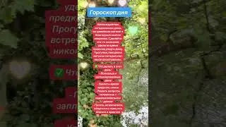 #рекомендации