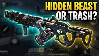 Is the Dingo dogwater? (Best LMG gunsmiths for ranked MP and BR)