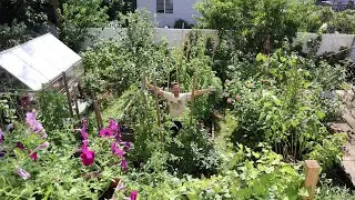 NY Backyard Garden Tour UPDATE | August 2024 SUMMER Tour | Chris's Garden