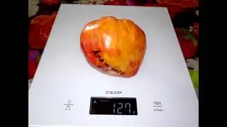 Томат Ананасное бычье сердце PINEAPPLE OXHEART