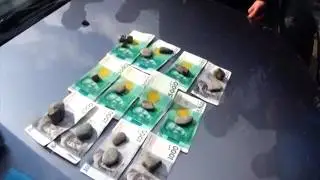 5 ГУ МВД  За взятку 40 тыс задержан депутат местного кенеша Московского района