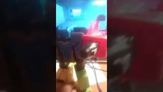 Херасие хераборина