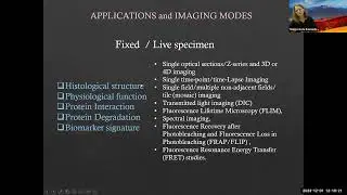 Overview of Imaging Modalities at the ICBM