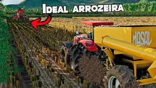 Colhendo arroz na lama  |Farming simulator 19