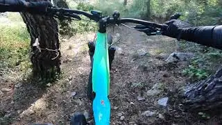 Transgapeau